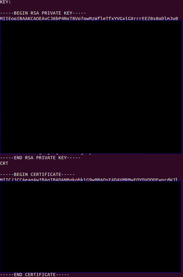 Джекпот: мы получили ключ и сертификат!