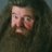 Hagrid