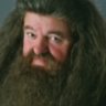 Hagrid