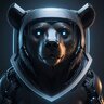 BEARHOST