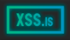 XSS_is2.png