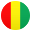 🇬🇳
