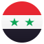 🇸🇾