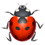 🐞