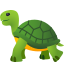 Turtle :turtle: 🐢