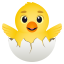 🐣