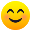 Smiling face with smiling eyes :blush: 😊