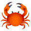 Crab :crab: 🦀