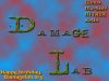 damagelab.jpg