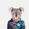 misterkoala01