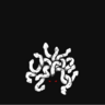 Medusa1