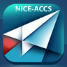 Nice_accs