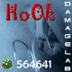Ho0k.gif