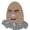 Diglett666
