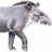 Tapir