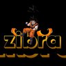 zibra_s