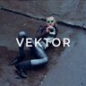 VektorBo55