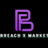 BreachX