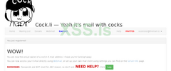 XSS_COCK.png
