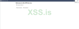 forti_web_xss.png