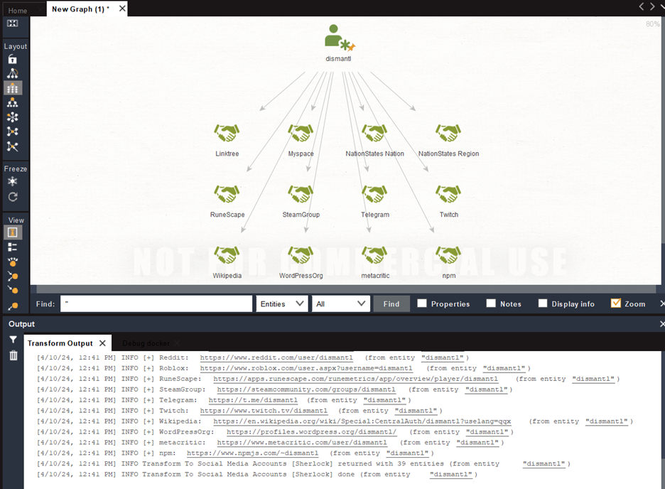 Maltego Social Media Sherlock Graph View
