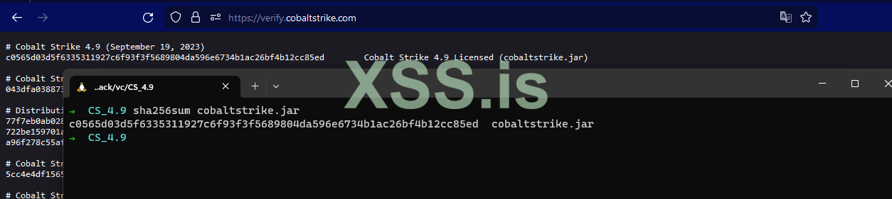 Screenshot 2023-09-19 210002.png