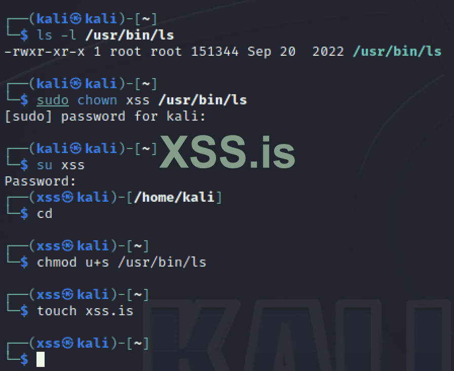 Изображение [2] : Добавление бита setuid
