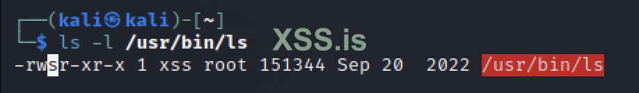 Изображение [4] : Разрешении файла /usr/bin/ls