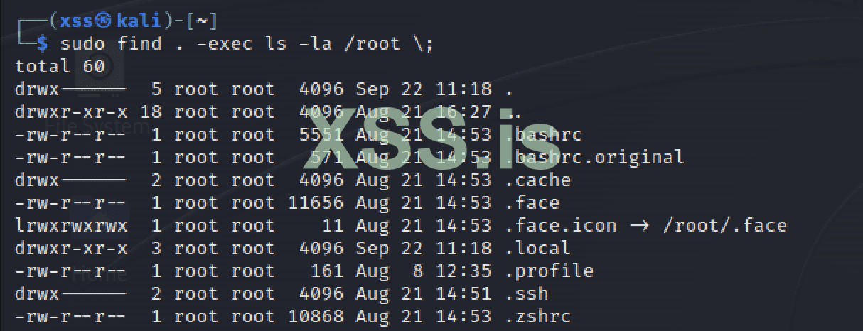 Изображение [9] : Хацк