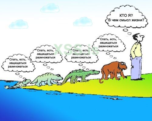 smisl-zhizni.jpg