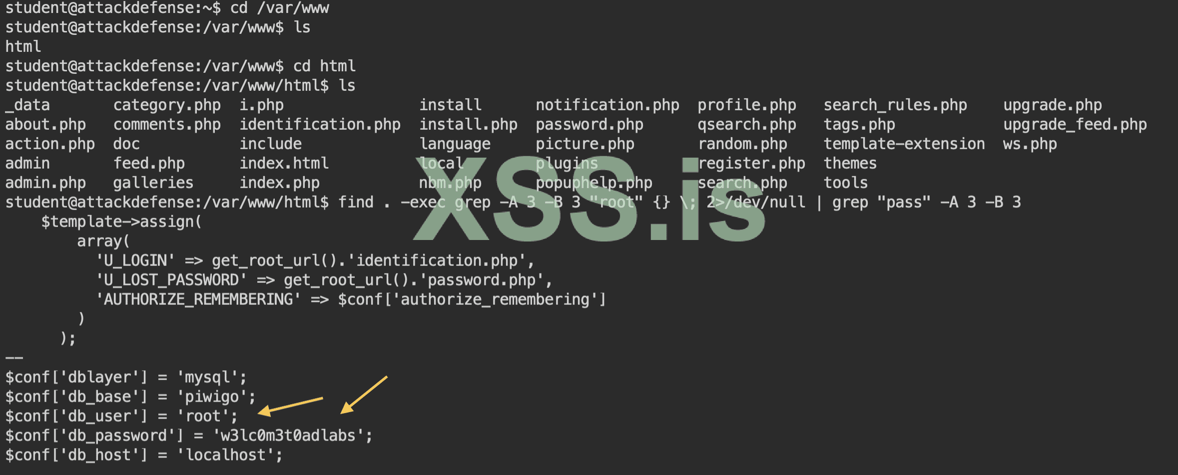Изображение [13] :Нахождение данных
