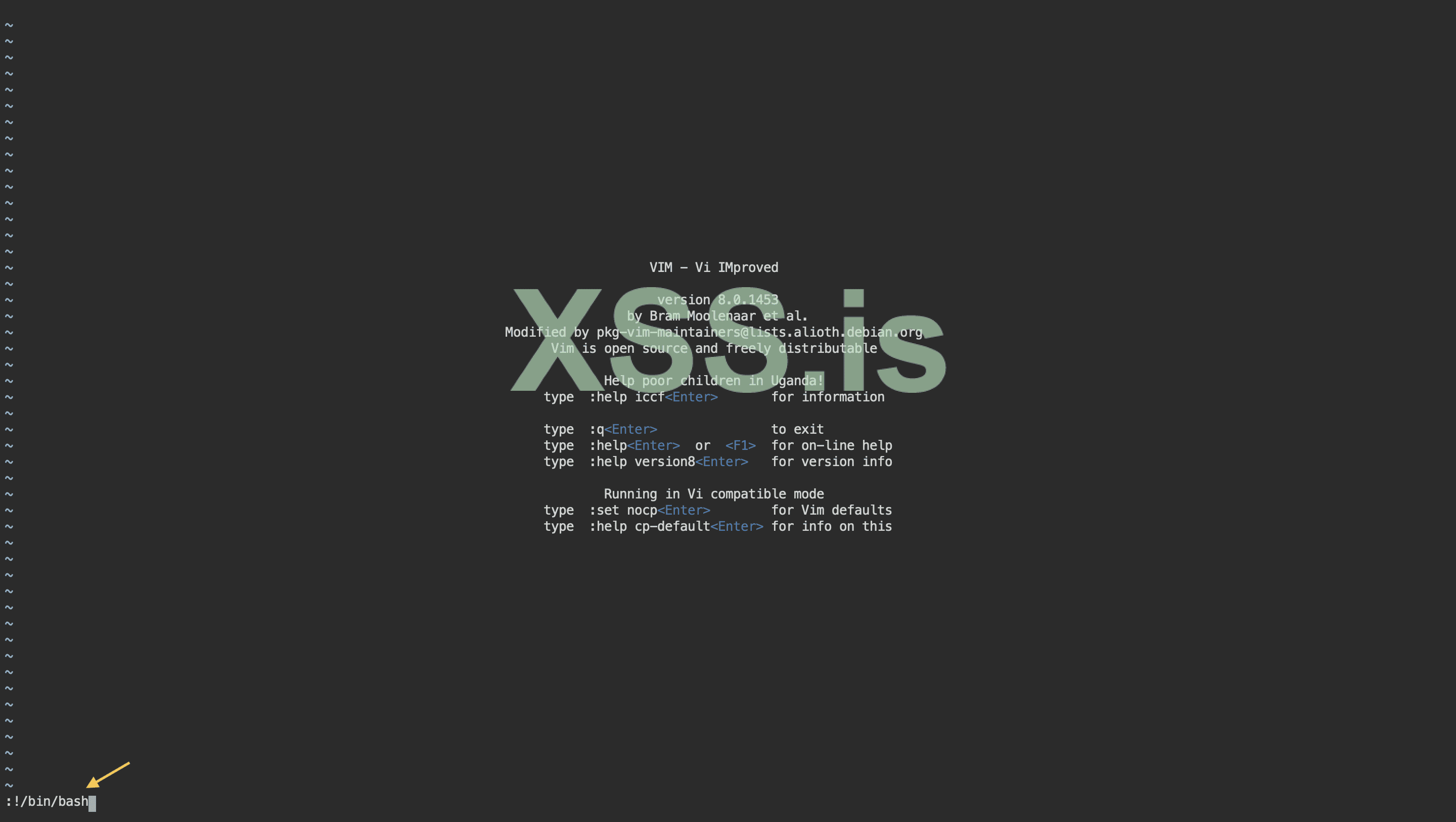 Изображение [30] : Открываем оболчку через vi