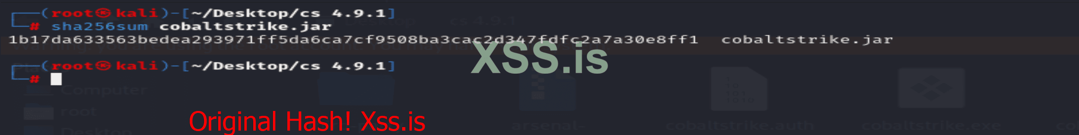 CS 4.9.1 Latest 3rd proof.png