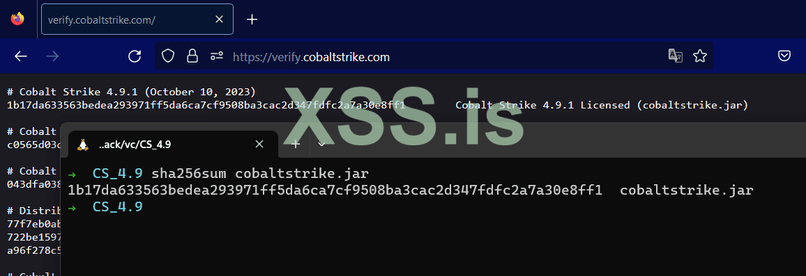 Screenshot 2023-10-11 124248.png