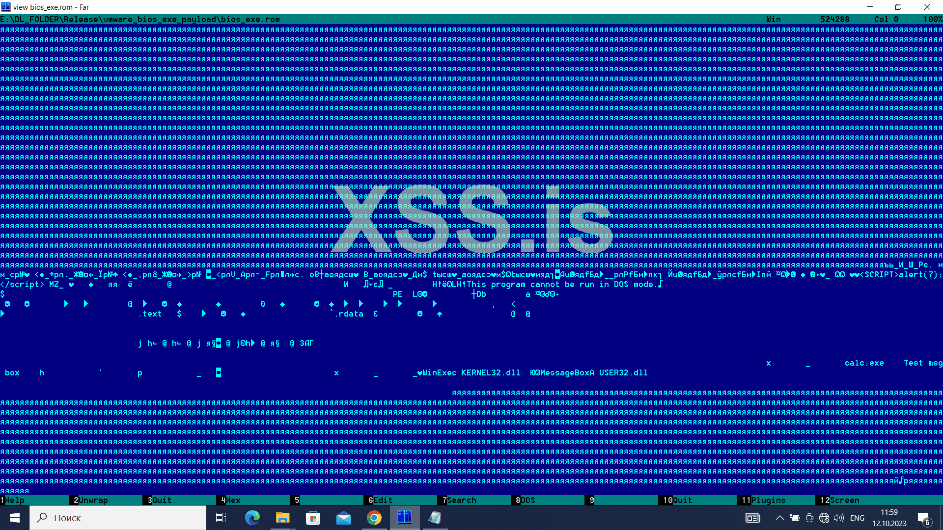 vmware_bios_exe_view.png