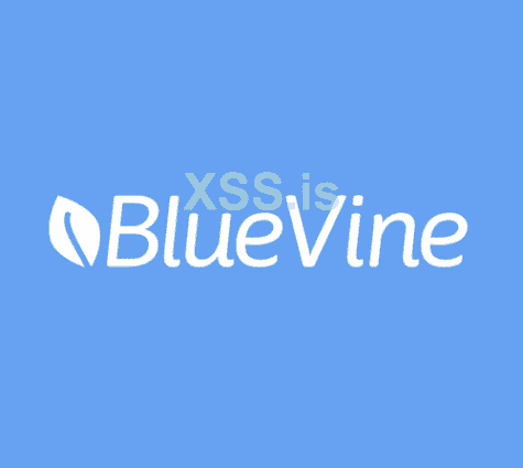 BlueVine-logo.png