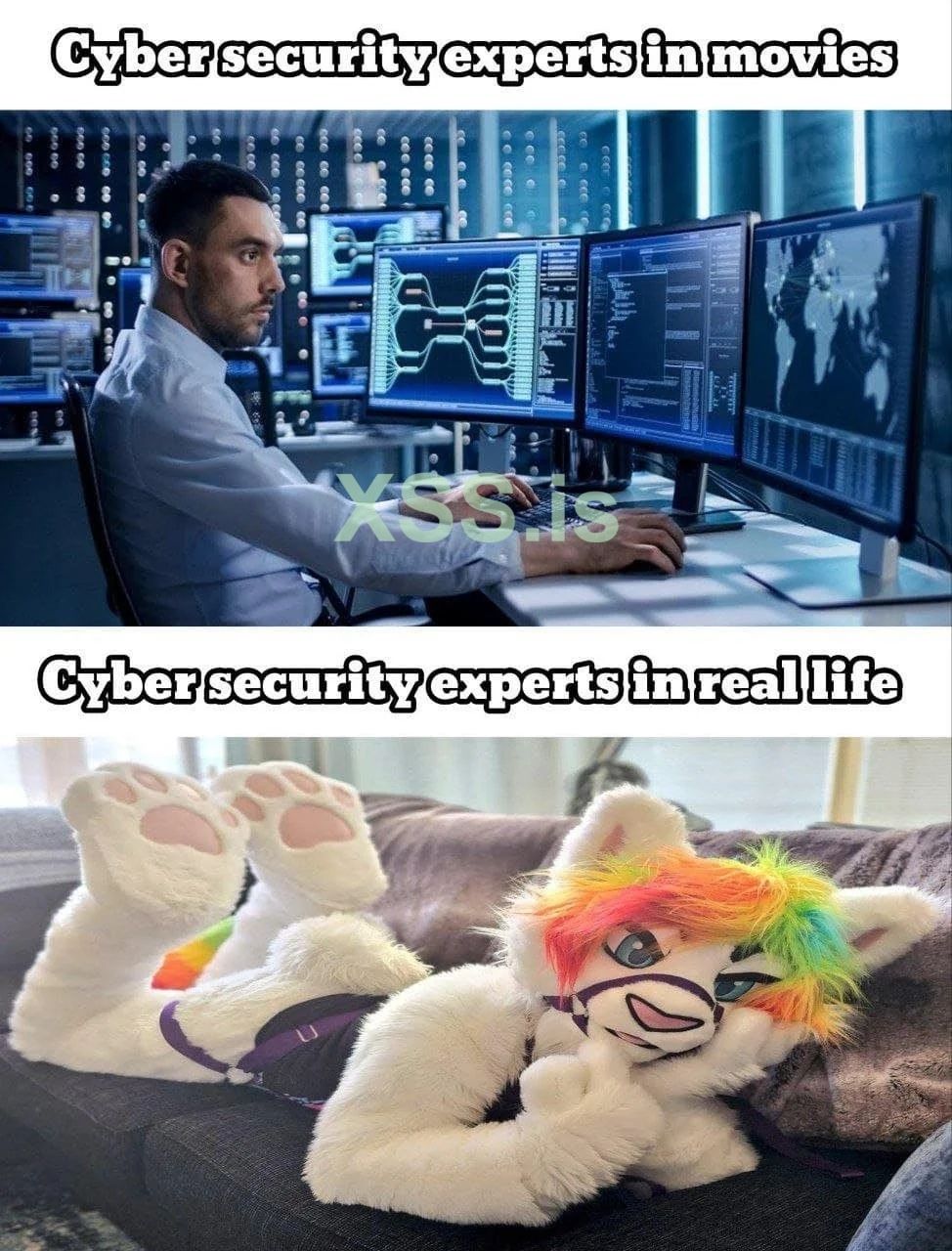 cyber security experts.jpg