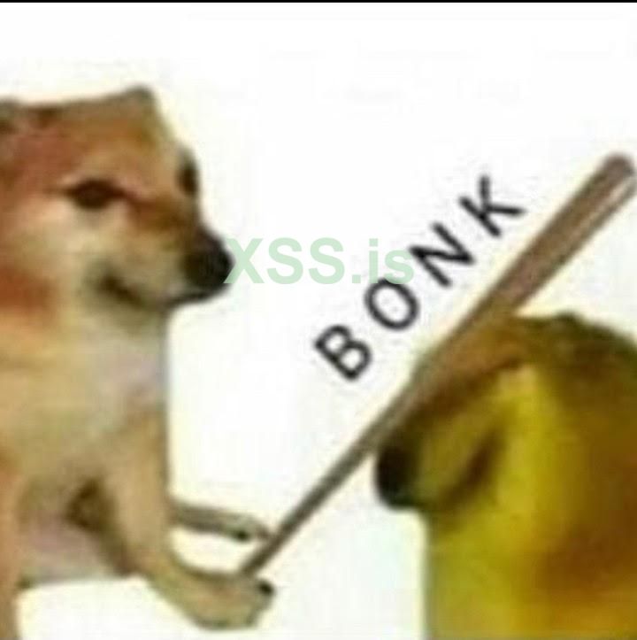 bonk.jpg