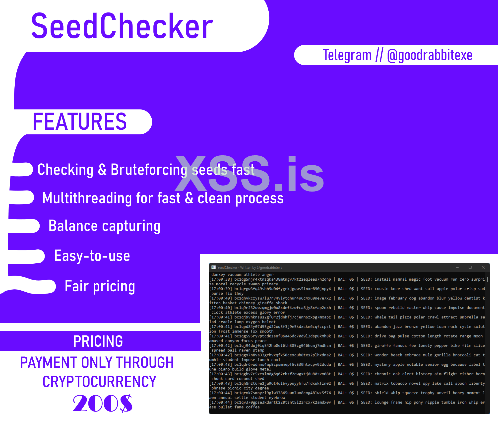 SeedCHeckerScreem.png