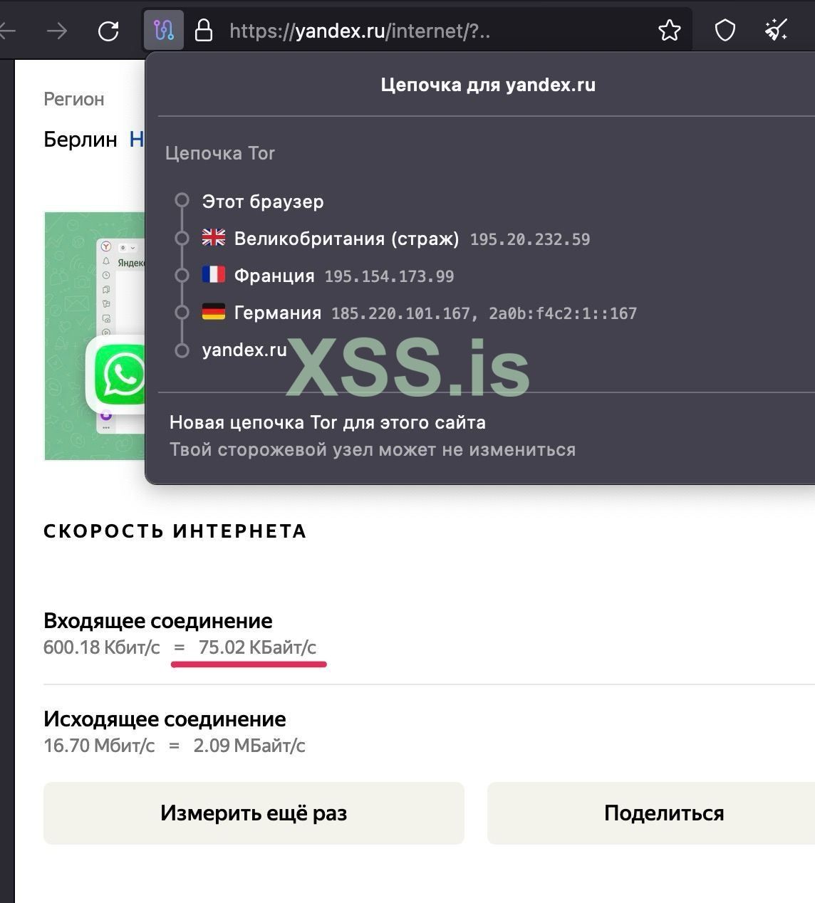 IMAGE 2023-12-11 20:44:16.jpg