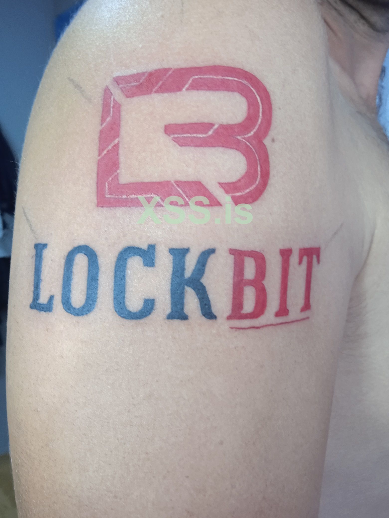 1 — копия.jpg