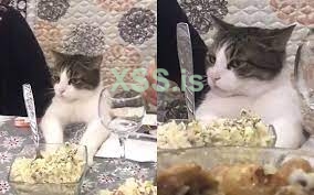 Без названия.jpg