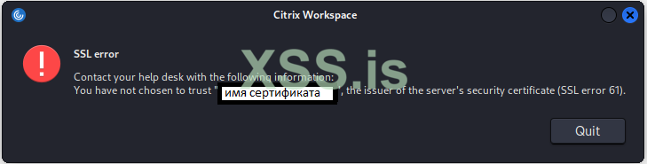 citrix-error61.PNG