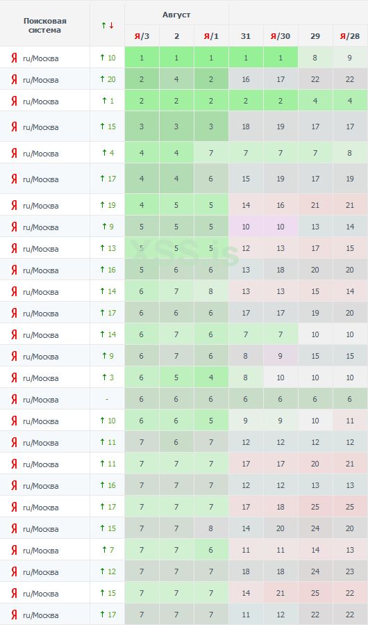 раскрутка сайта 2022.jpg