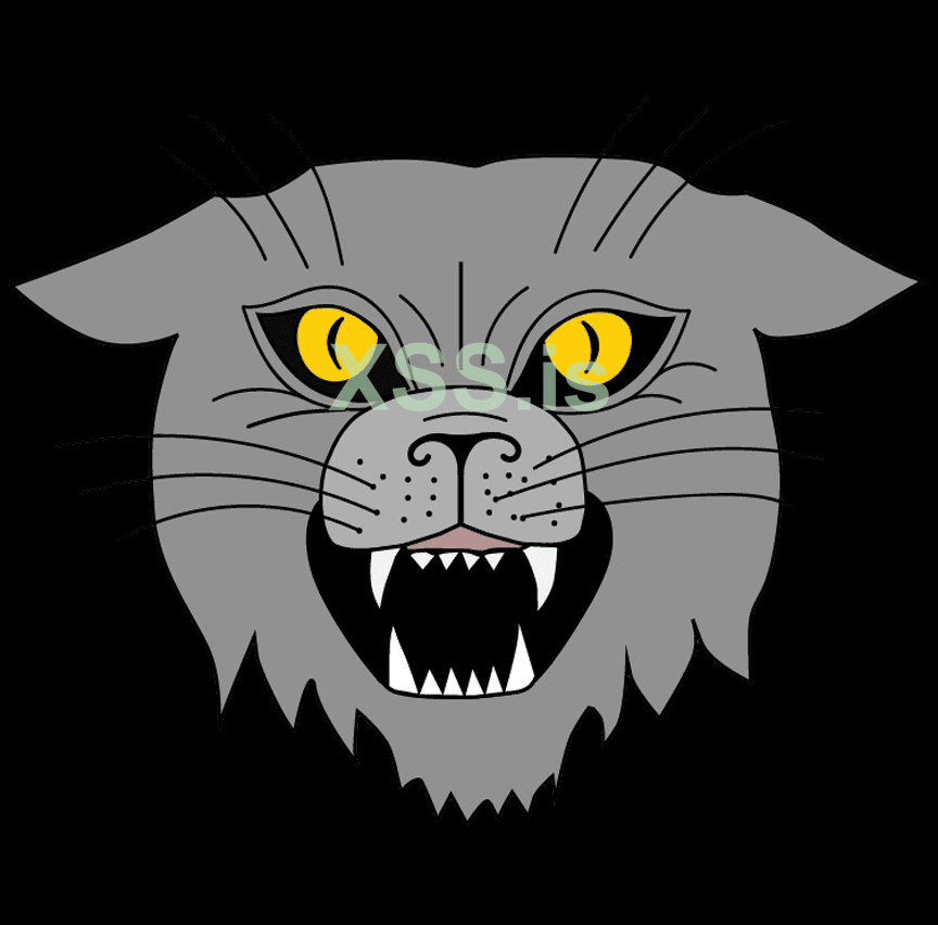 бардак кот.png