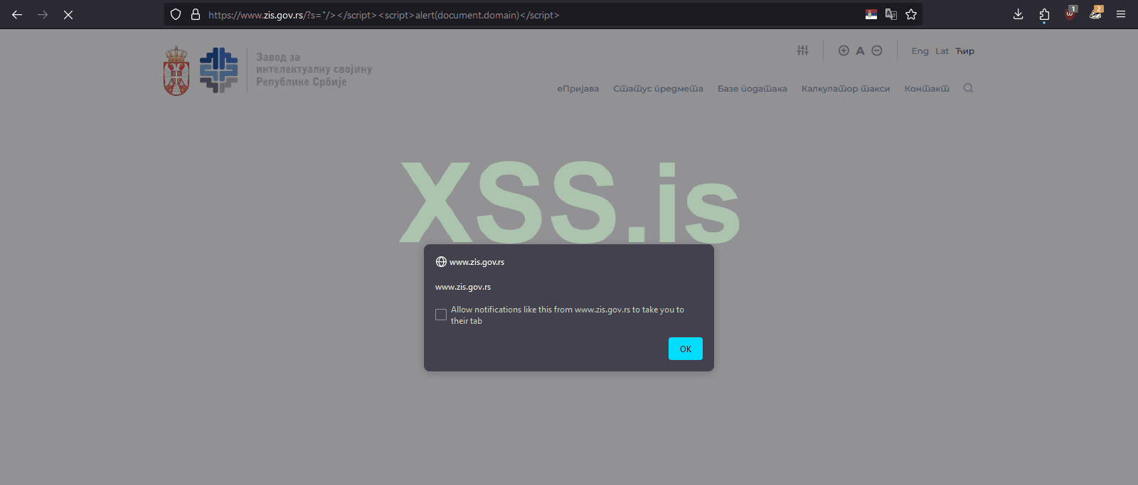 xss2.PNG