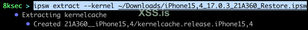 ipsw_extract_kernel.png