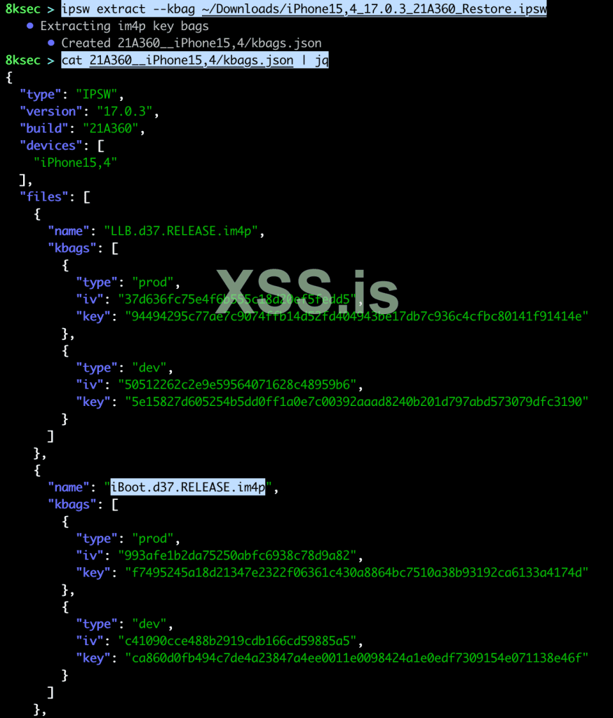 ipsw_extract_kbag.png